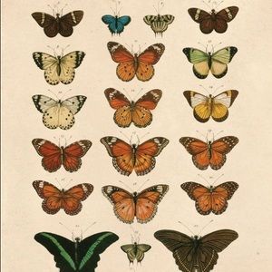 Meet your Posher, Tameka